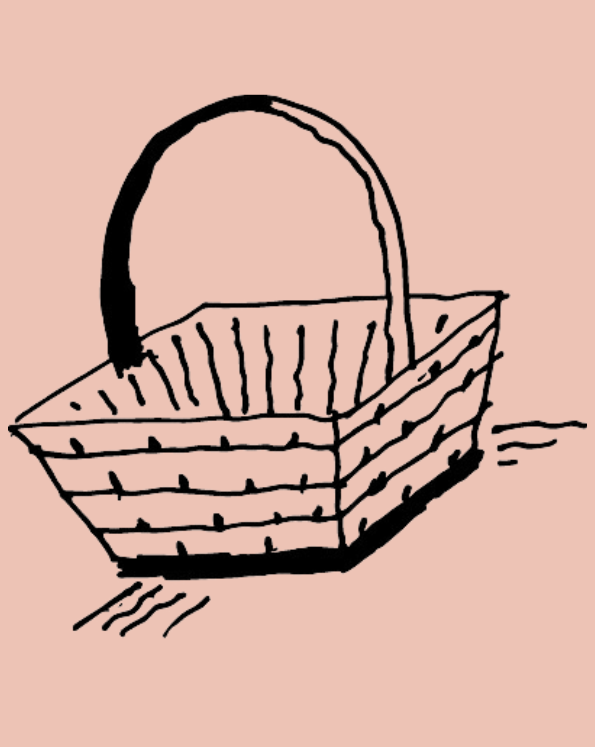 Cesta de la compra